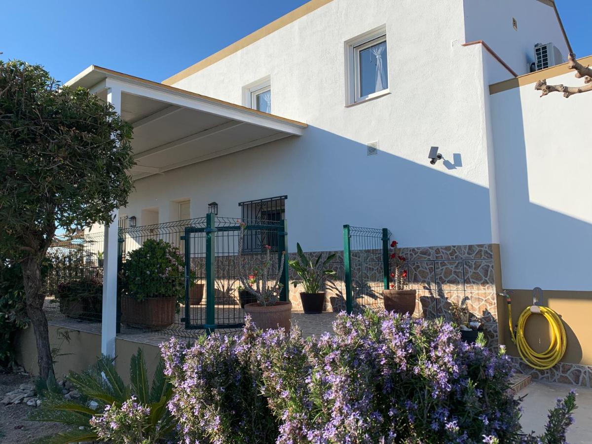 Casa Enric , Con Zona Infantil, Piscina Y Parking Privado Casa de hóspedes Deltebre Exterior foto